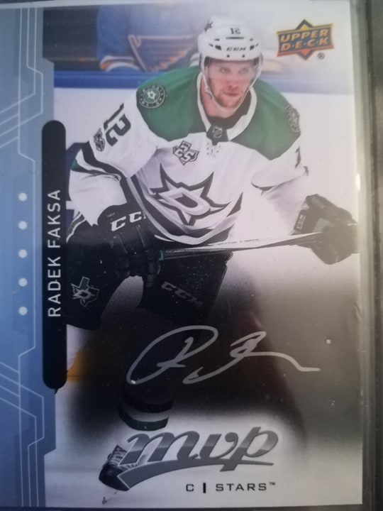 Radek Faksa