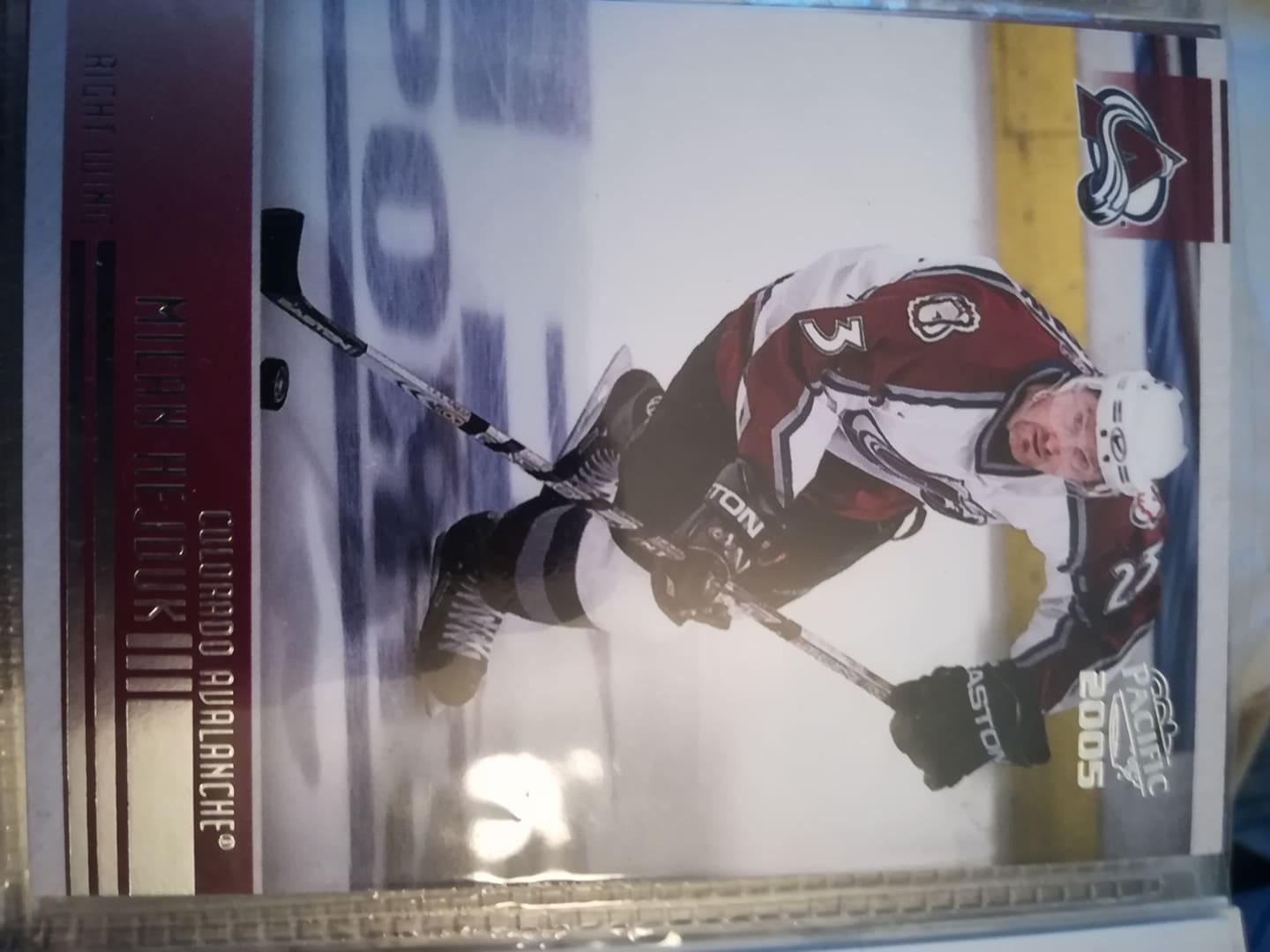Milan Hejduk1