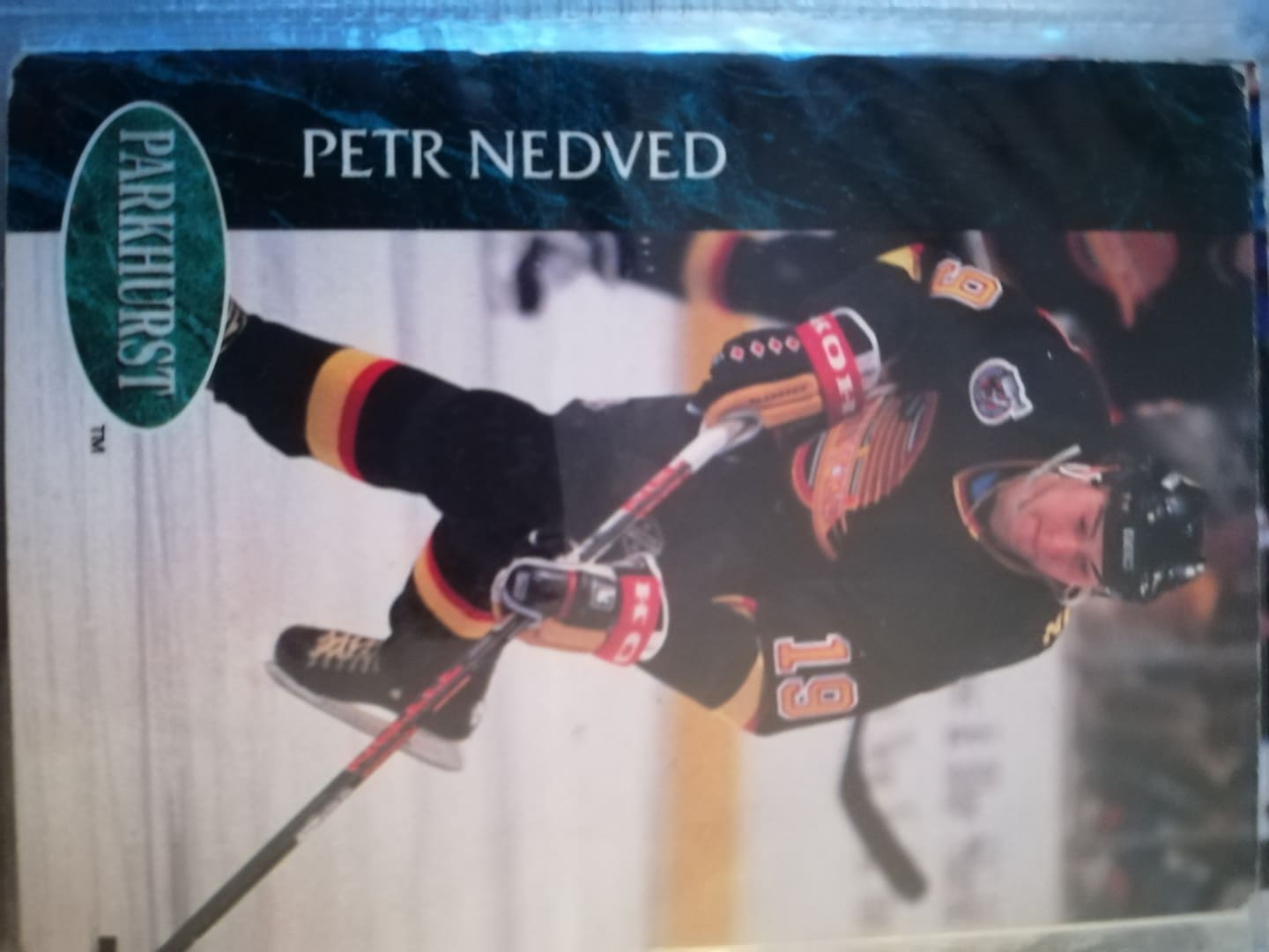 Petr Nedvěd1