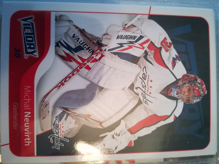 Michal Neuvirth