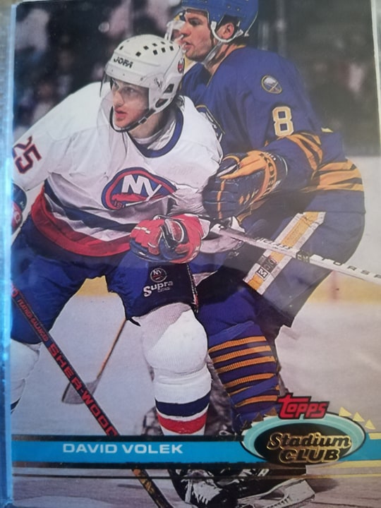 David Volek