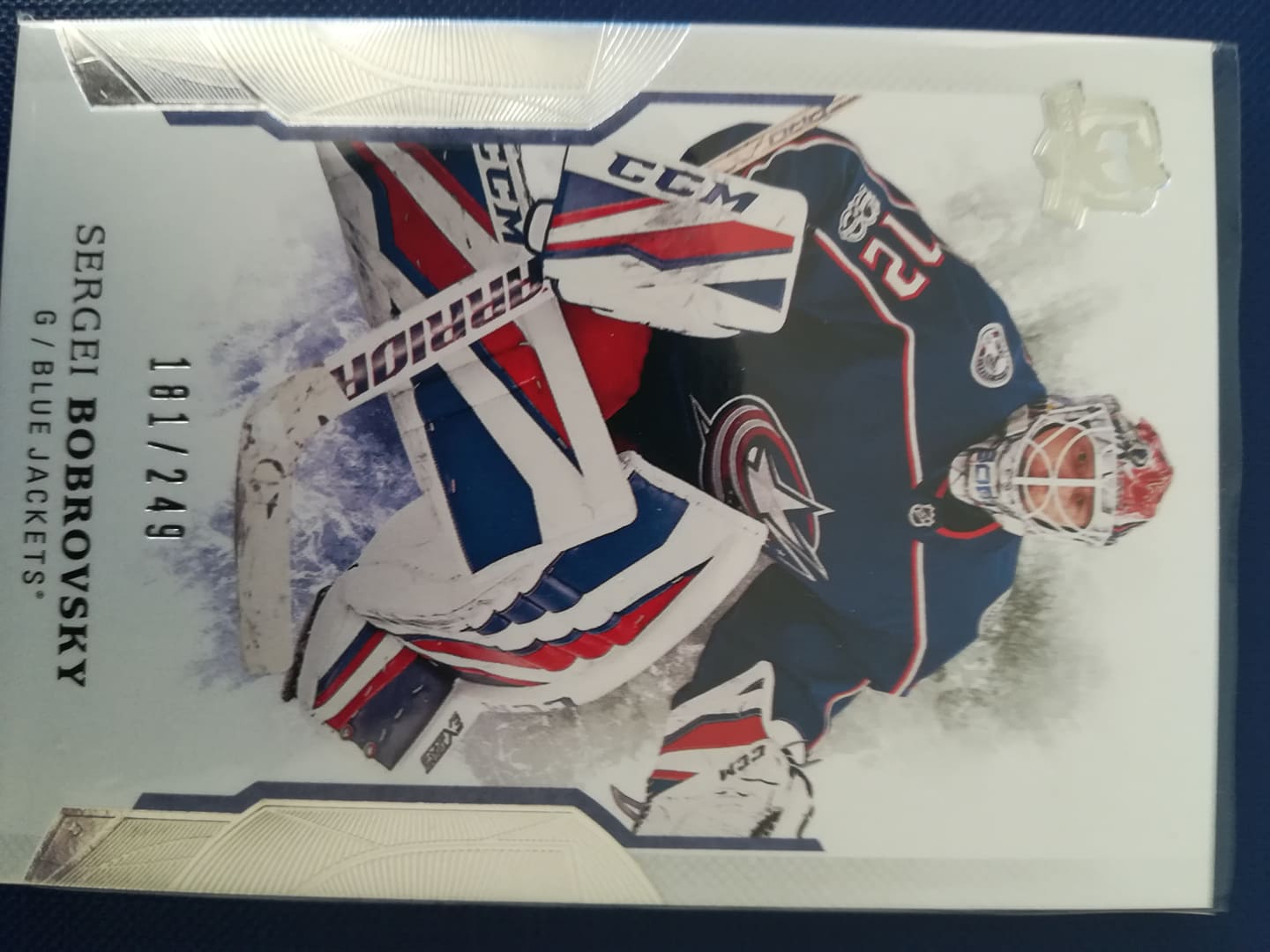 Sergei Bobrovsky