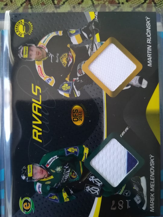 Marek Melenovský, Martin Ručinský1