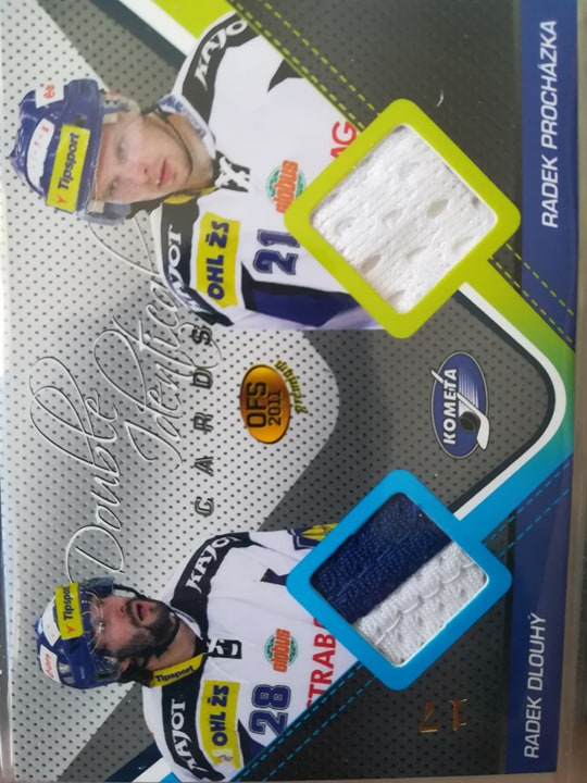 Radek Dlouhý, Radek Procházka