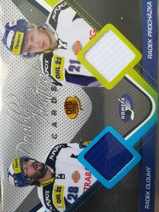 Radek Dlouhý, Radek Procházka1