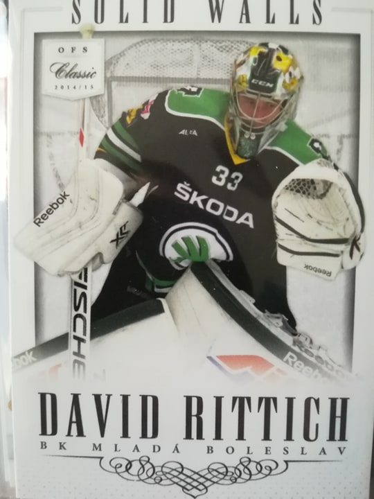 David Rittich-Solid Walls