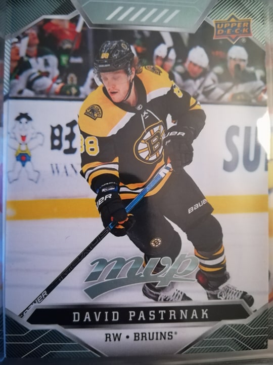 David Pastrňák5