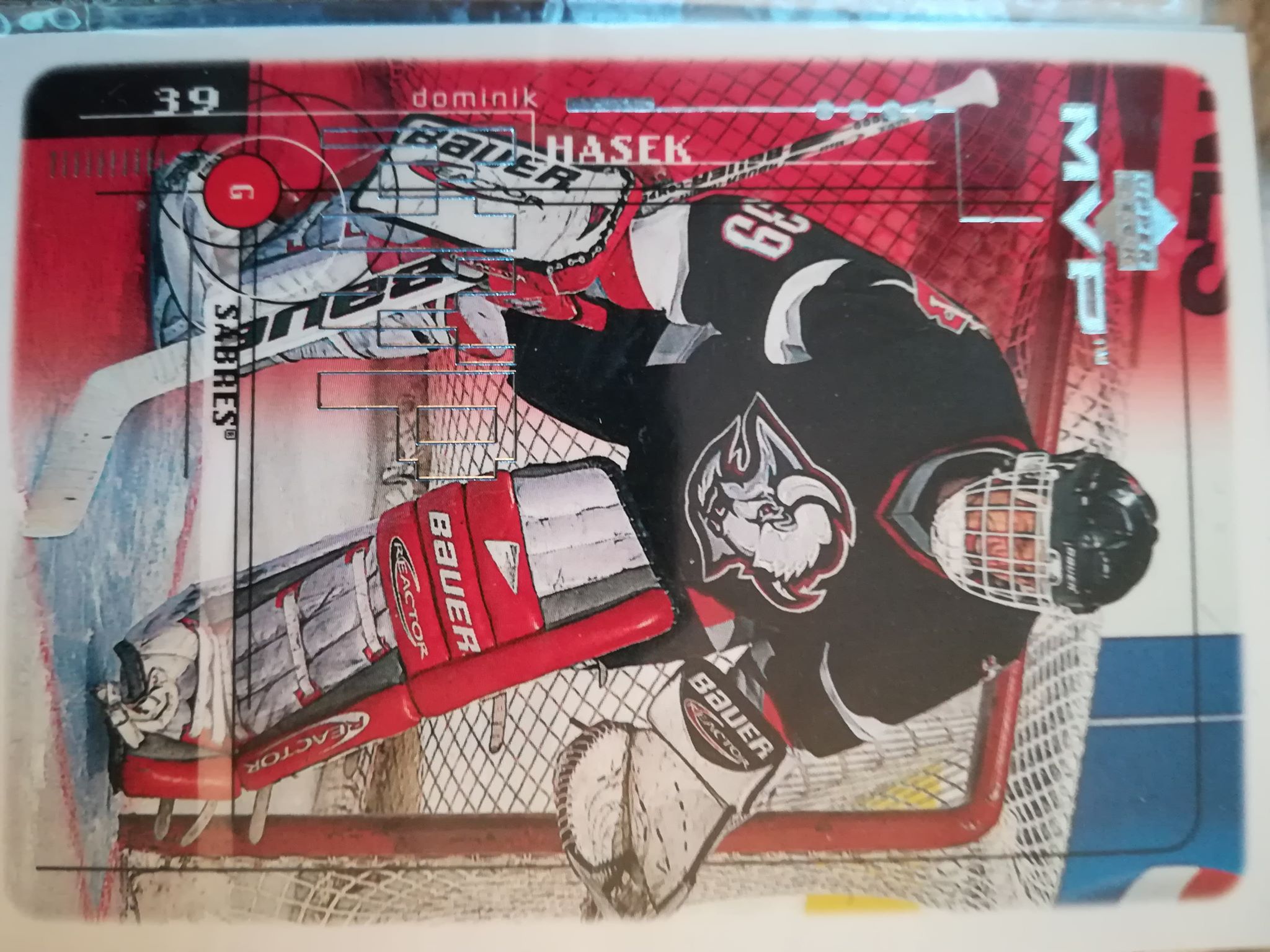 Dominik Hašek2