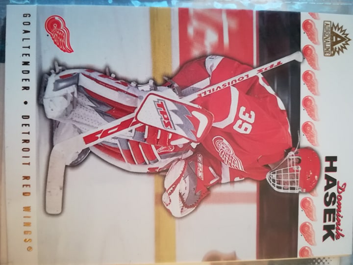 Dominik Hašek5